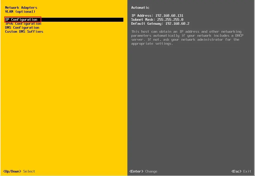 esxi network adapter selections