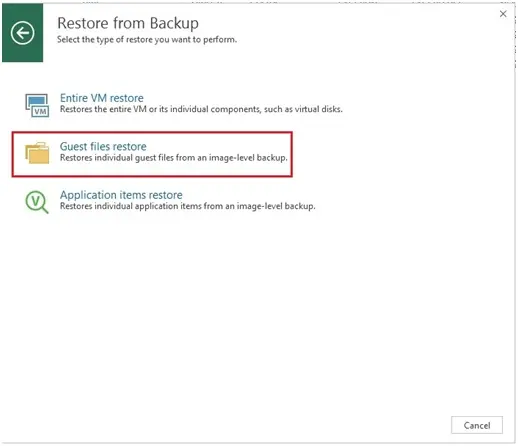 veeam guest file restore