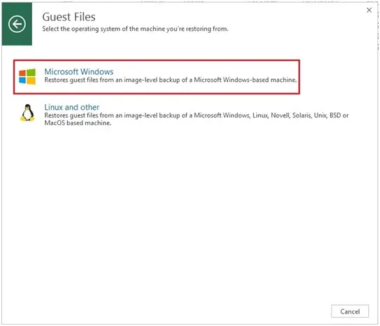 veeam restore windows guest file