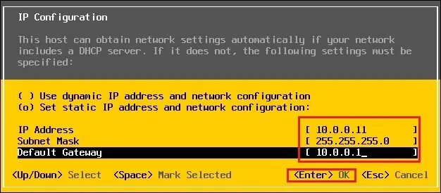 vmware static address