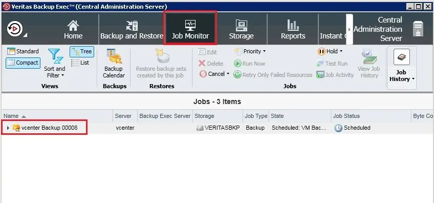 veritas backup job monitor