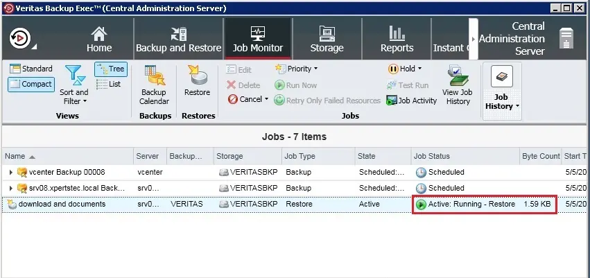 veritas backup job monitor