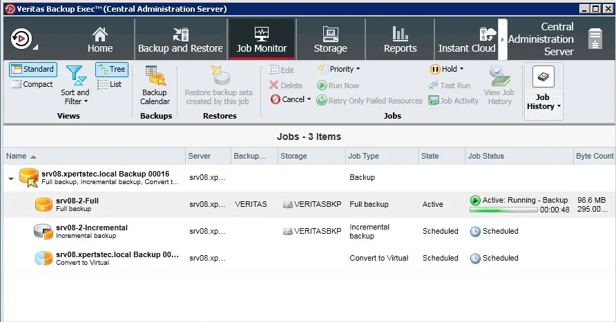 veritas job monitor