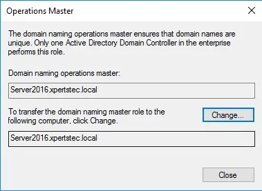 domain naming operations master