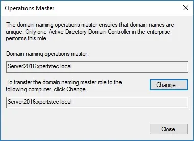 domain naming operations master