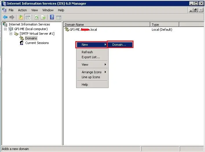 server 2008 iis manager domains