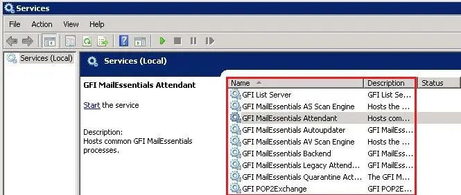 server 2008 services local