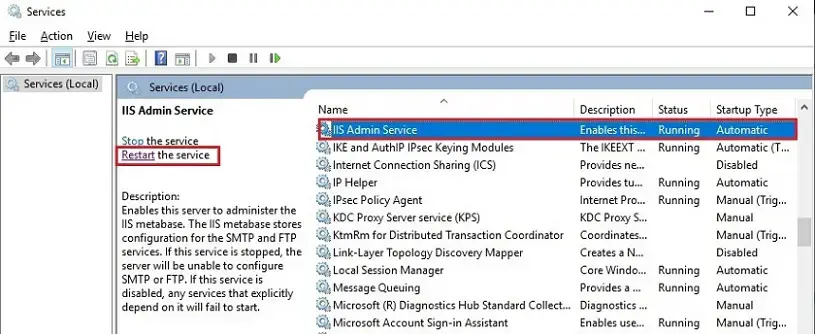 iis admin local service