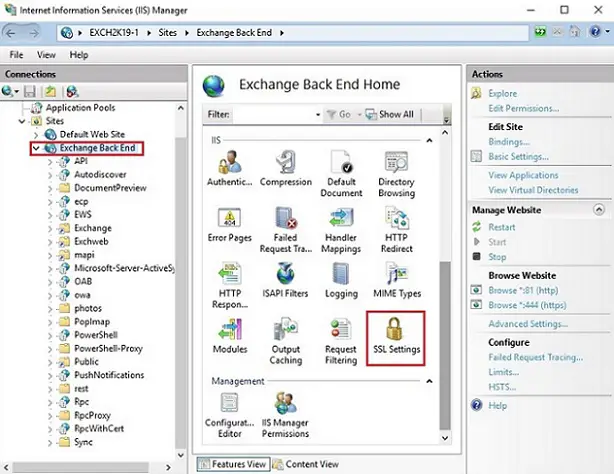 iis manager ssl