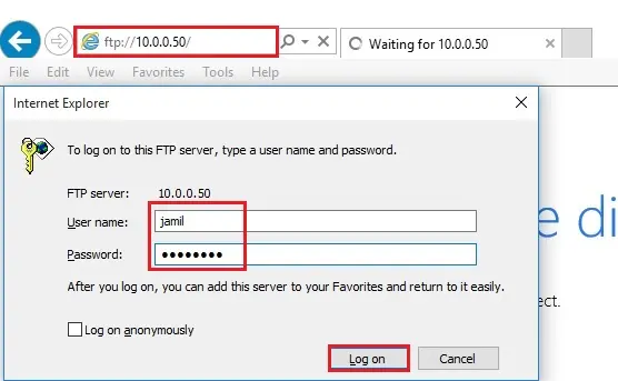 access ftp server in web explorer