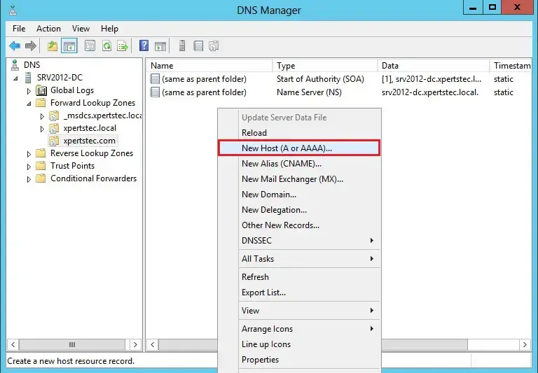 add host a record in dns server