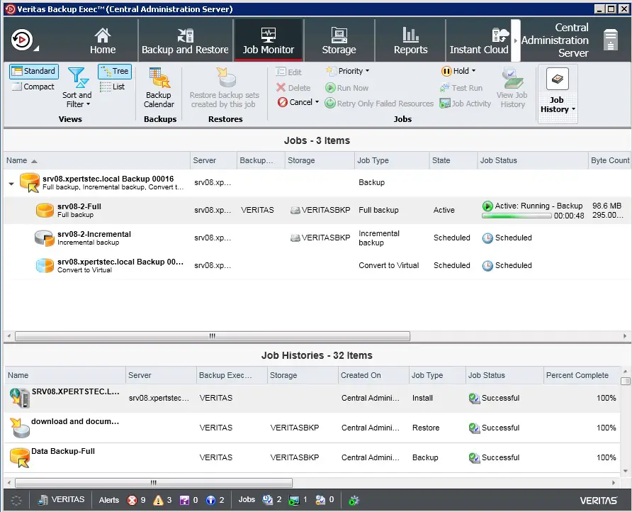 veritas job monitor