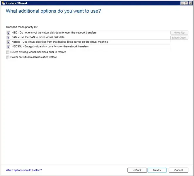 virtual machine restore wizard additional options