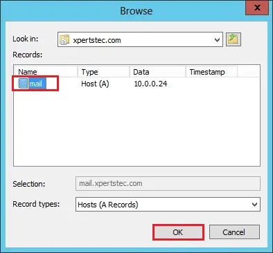 dns manager record type