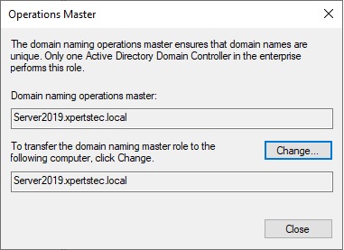 domain naming operations master