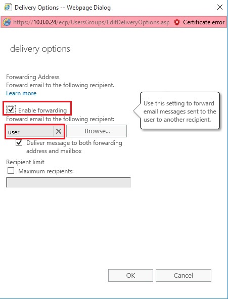 email forwarding delivery options