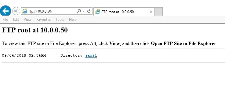 ftp server access web browser