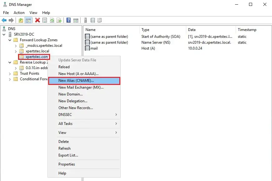 server 2019 dns manager