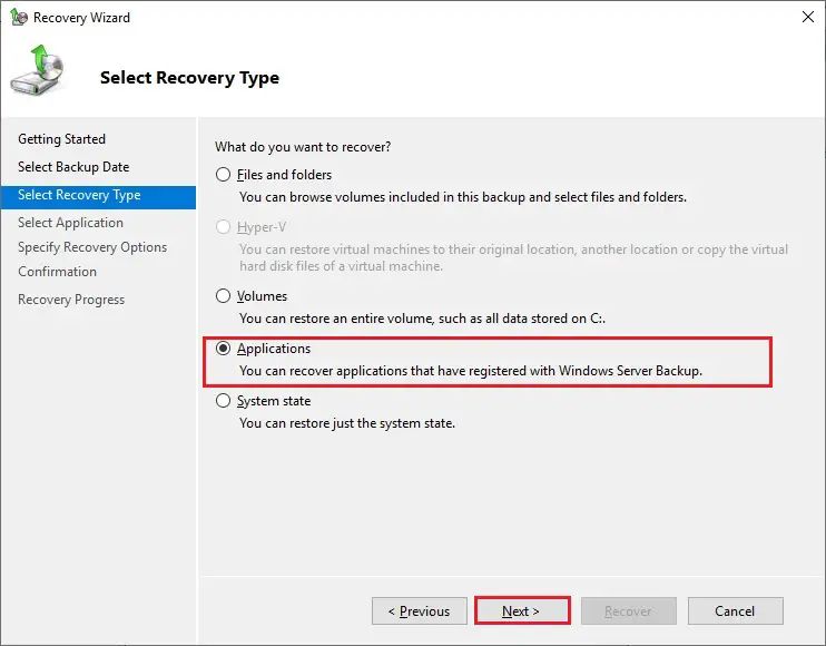 windows server backup recovery type