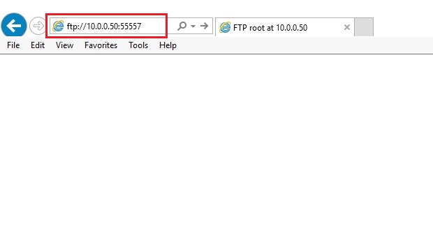 ftp server access web browser