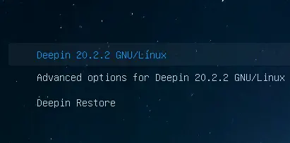 Deepin Linux boot menu