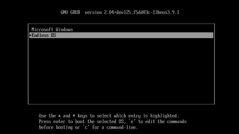 GNU grub version 2.04