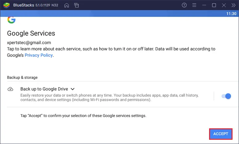 Bluestacks google services accept