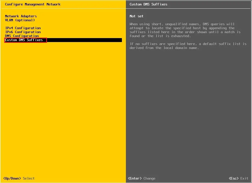 esxi custom dns