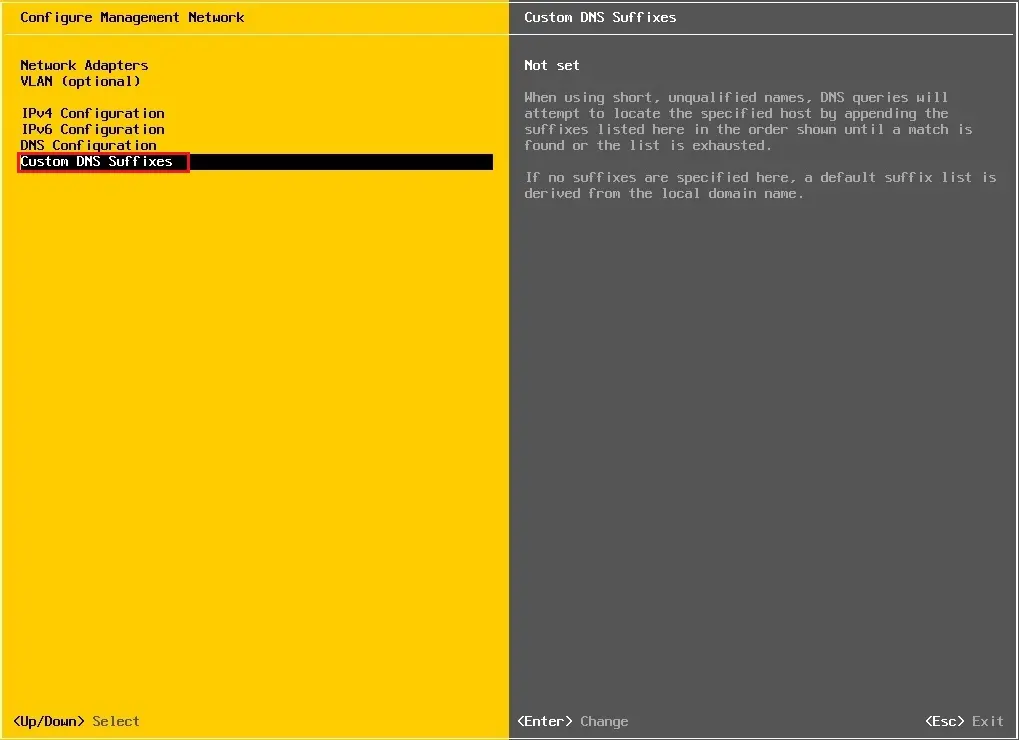 esxi 6.7 custom dns