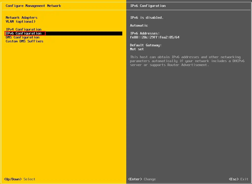 esxi 6.7 ipv6 configuration