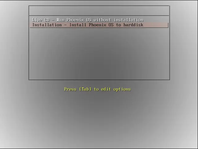 Install Phoenix OS screen