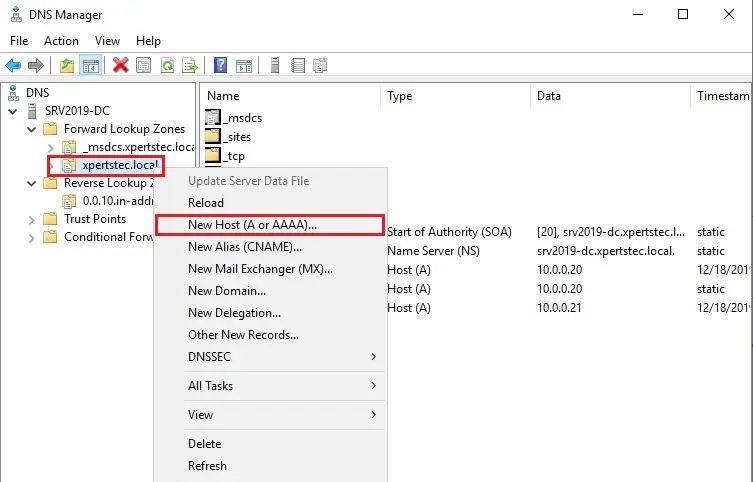 dns manager server 2019