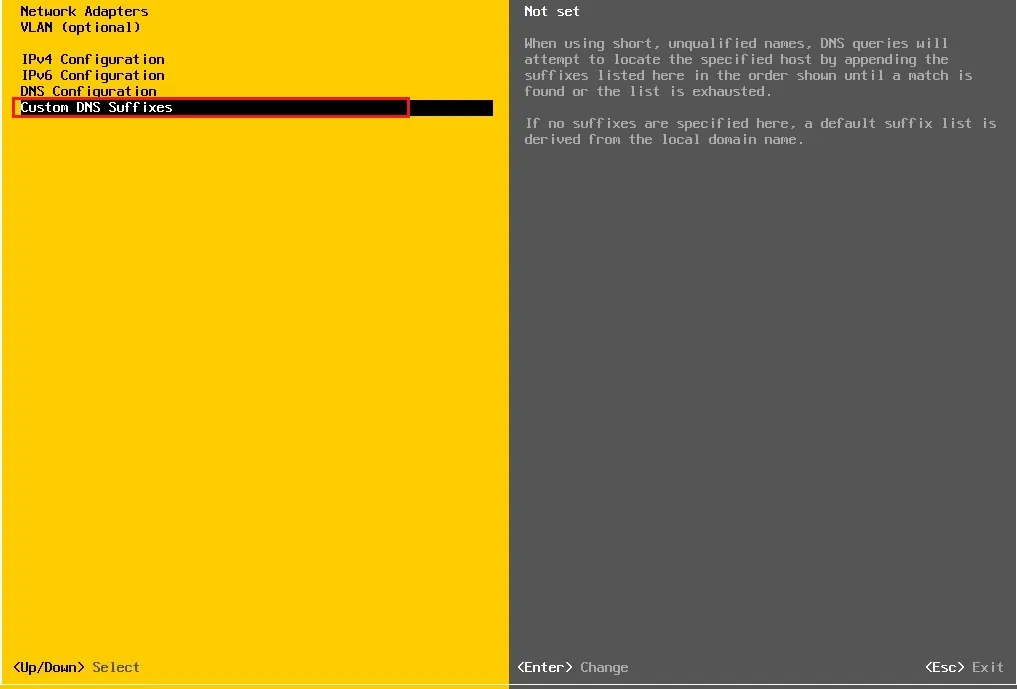 esxi 7 custom dns