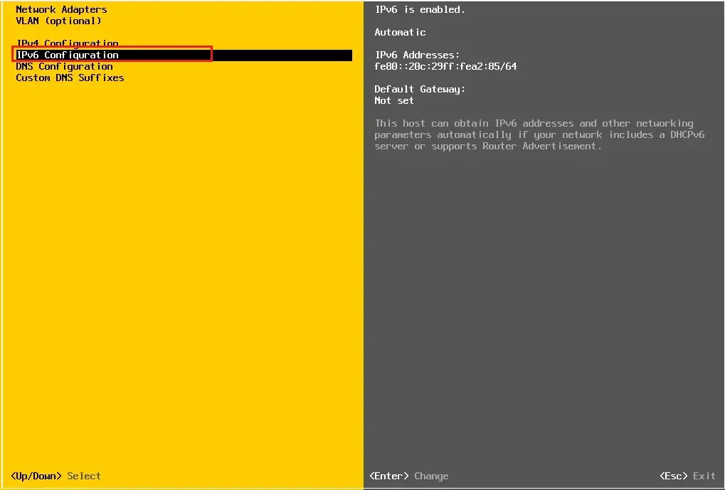 esxi 7 ipv6 configuration