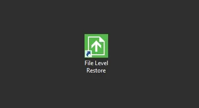 veeam file level restore icon