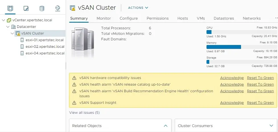 vmware vsan cluster summary