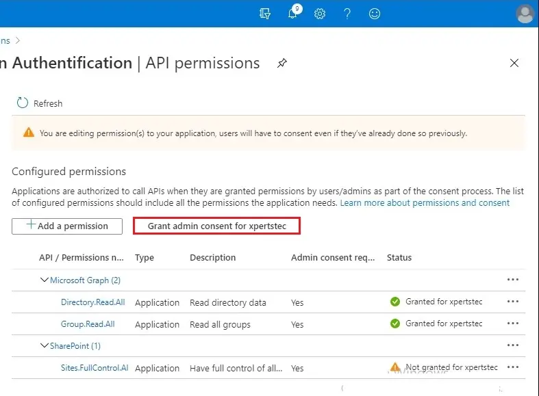 azure api permissions grant