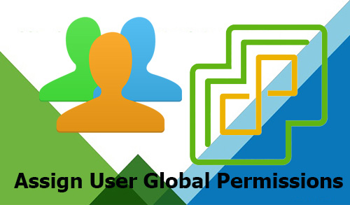 assign user global permissions