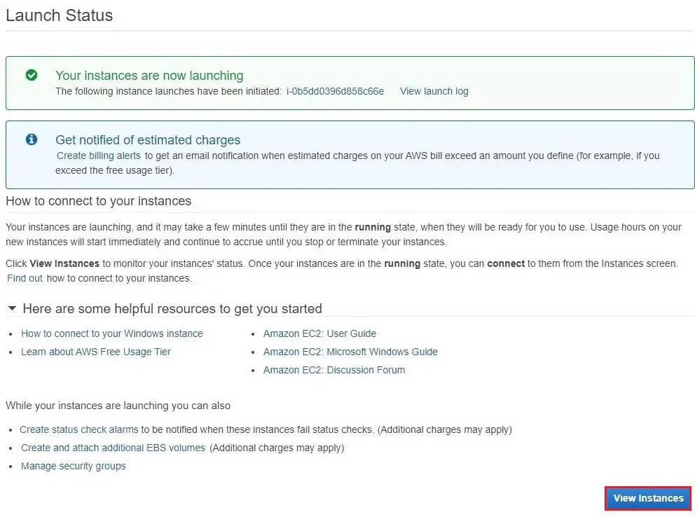 aws launch status