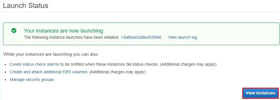 aws launch status