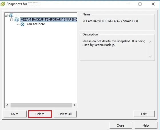 vsphere client snapshot manager