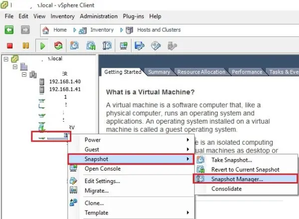 vsphere client vm snapshot