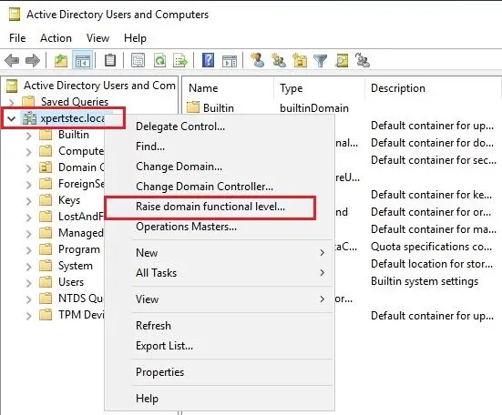 raise domain functional level