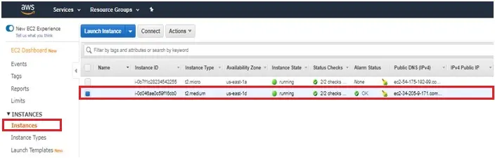 aws launch instance