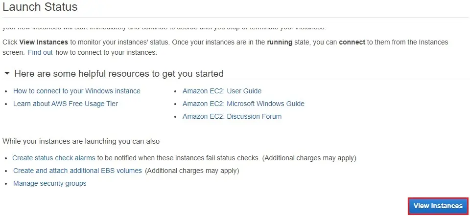 aws launch status