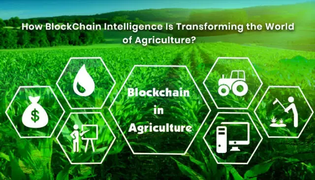 bigstock IoT agriculture