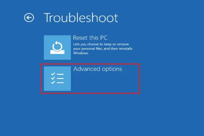 troubleshoot advanced options