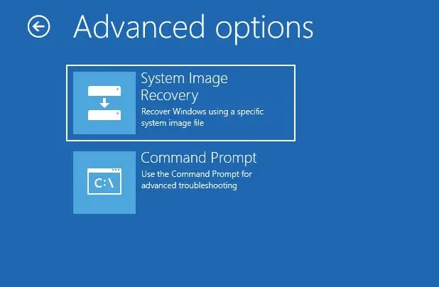 advanced options system image