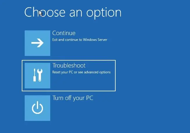 choose an option troubleshoot