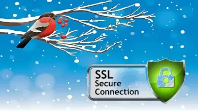 install configure renew godaddy ssl certificate